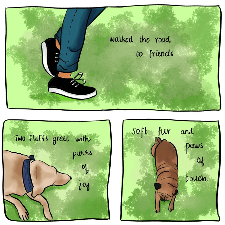 A three-panel comic of walking shoes and cats asking for food and attention.
