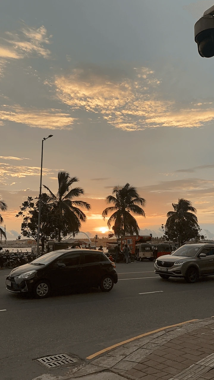 Palm trees and cars beneath a golden evening sky.